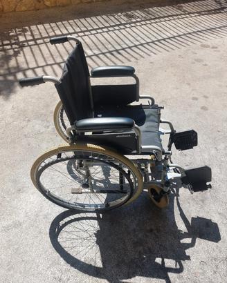 sedia a rotelle