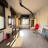 MULTILOCALE A BAGNOLO SAN VITO