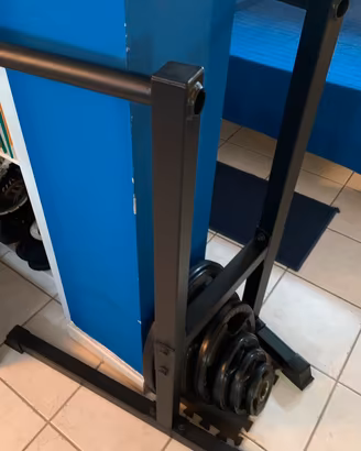 Dip Station - Lacertosus Palestra