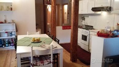 Ampio appartamento nel centro di auronzo di cadore