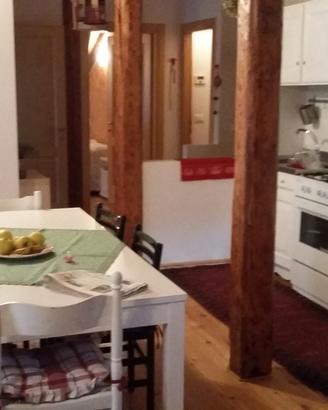 Ampio appartamento nel centro di auronzo di cadore