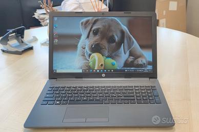Notebook HP 255 G7 8Gb SSD 256 Windows 10