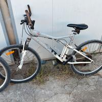 Bici mtb 26