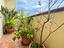 Immagine 19