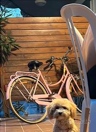 Bici Atala olandesina