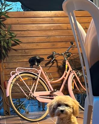 Bici Atala olandesina
