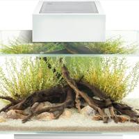 Acquario Askoll Fluval Edge 23 L bianco
