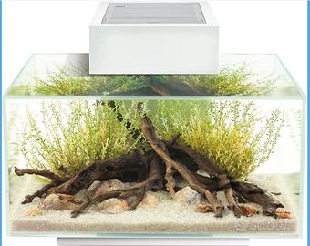 Acquario Askoll Fluval Edge 23 L bianco