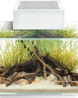 Acquario Askoll Fluval Edge 23 L bianco