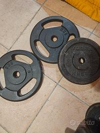 dischi ghisa 5 kg