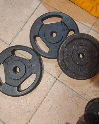 dischi ghisa 5 kg