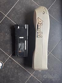 Batteria bici elettrica 2x1