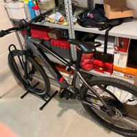 Bici Mountain Bike elettrica