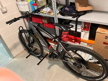 Bici Mountain Bike elettrica
