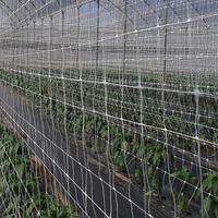 rete per sostegno rampicanti