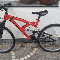 Bicicletta per ragazzo