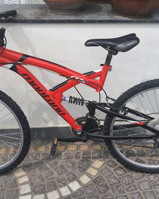 Bicicletta per ragazzo
