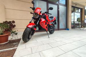 Gilera DNA