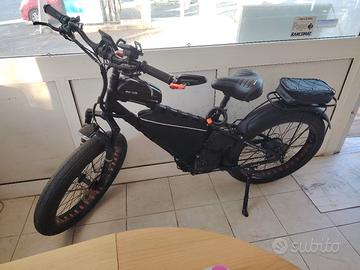 Bici elettrica 