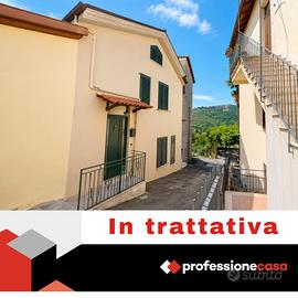 Terratetto Fiuggi [Cod. rif V5157VRG]