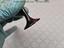 Immagine 9