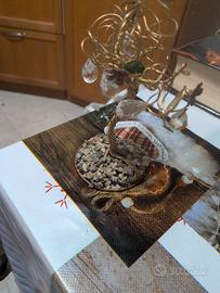 albero Gold Planet 24k