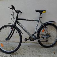 Bicicletta uomo