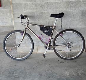 bici tipo mountain bike