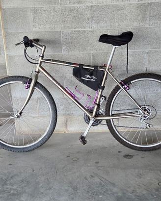 bici tipo mountain bike