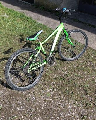 bici ragazzo 24 pollici