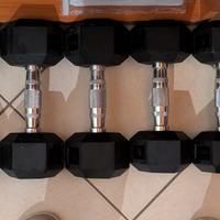 Set manubri esagonali