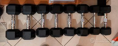 Set manubri esagonali