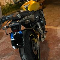 Hornet 600 cone nuova certificata
