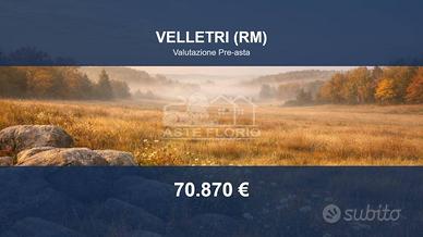 Immobile in asta di 29642 m² a Velletri