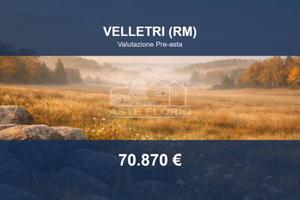 Immobile in asta di 29642 m² a Velletri