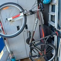bicicletta 26