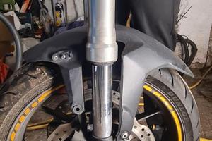 forcelle hornet 750 2023/2026