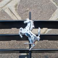 Griglia Anteriore Originale Ferrari F355 con Caval