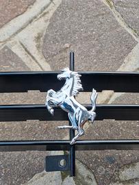 Griglia Anteriore Originale Ferrari F355 con Caval