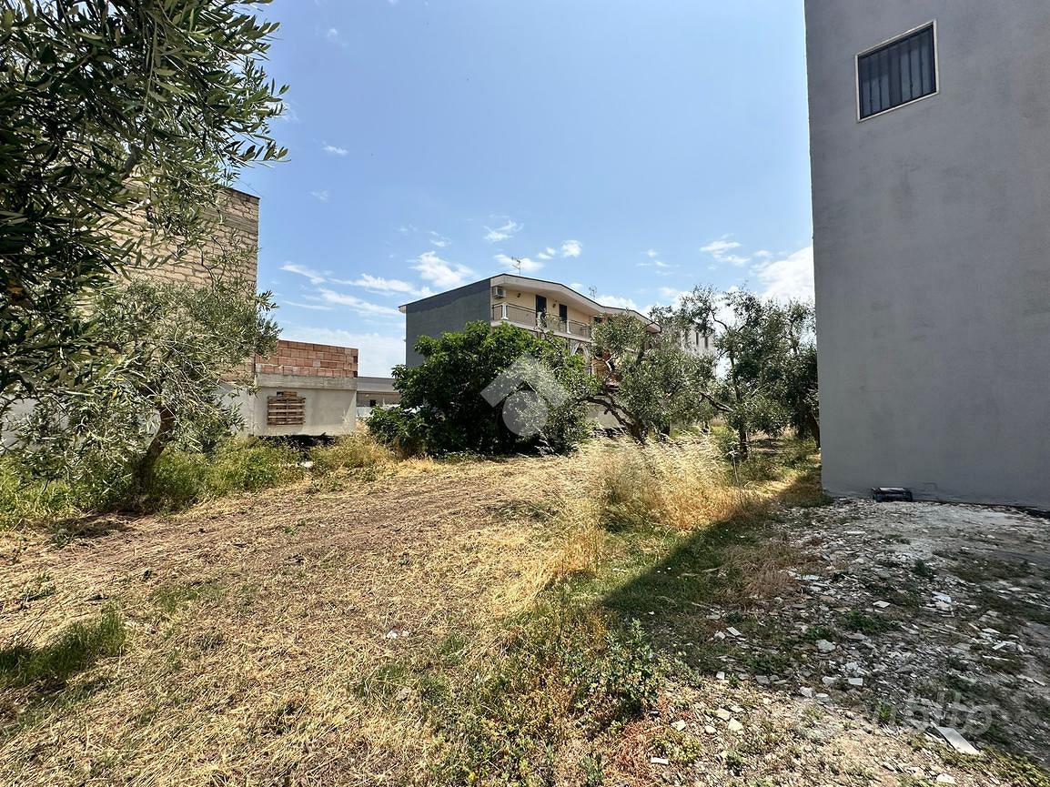 TERRENO A CERIGNOLA - Vista 5