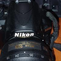 Nikon D3100