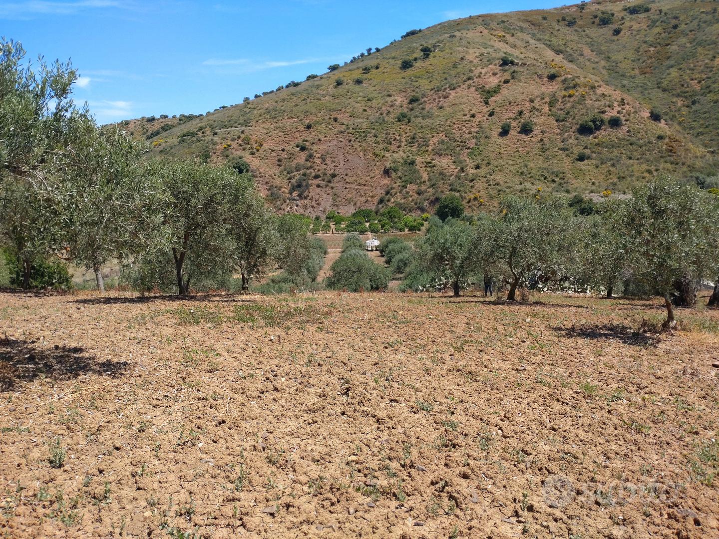 Terreno agricolo a Casteldaccia (Pa) - Vista 3