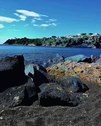 Isola di Procida monolocale