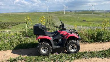Quad 260