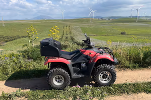 Quad 260