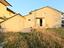 Immagine 7