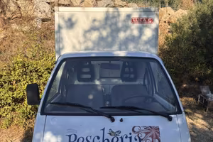 Porter piaggio