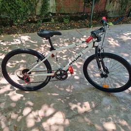 bicicletta per ragazzo