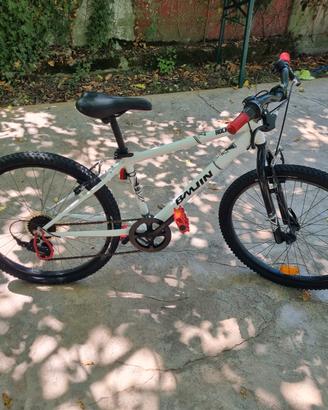 bicicletta per ragazzo