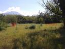 terreno-agricolo-san-giorgio-a-cremano